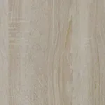 Északi tölgy