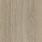 Lorenzo tölgy